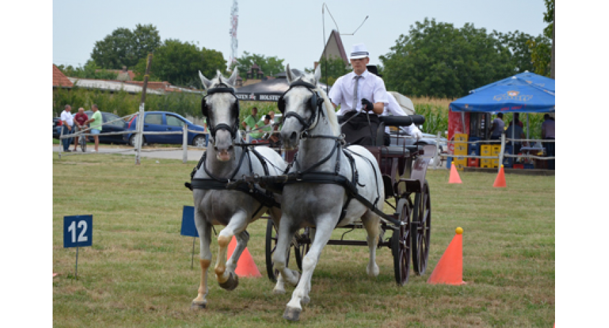 Jubilarna pećinačka Fijakerijada